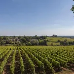 ベッド・アンド・ブレックファスト Les D'arche, Chateau D'arche, Grand Cru Classe De