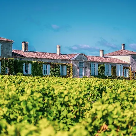 Les D'arche, Chateau D'arche, Grand Cru Classe De 4* 索泰尔纳