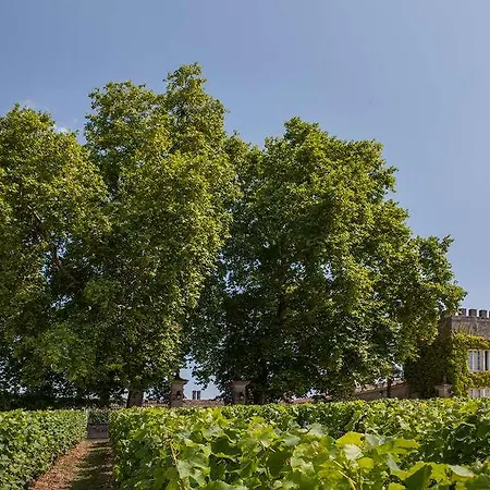 Les D'arche, Chateau D'arche, Grand Cru Classe De 住宿加早餐酒店 4*