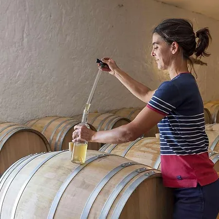 Hotel Chateau D'arche, Grand Cru Classe De Sauternes