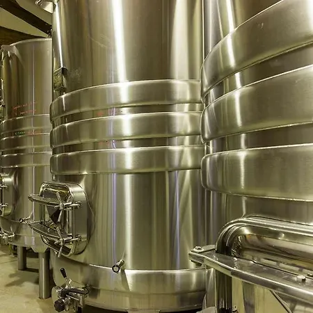 Hotel Château D'arche, Grand Cru Classé De