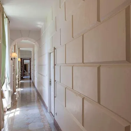 Château D'arche, Grand Cru Classé De Sauternes