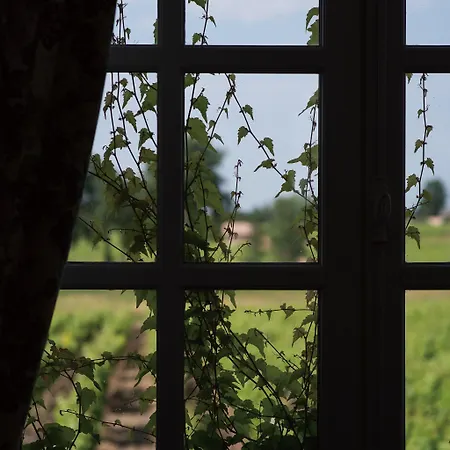 Hotel Château D'arche, Grand Cru Classé De Sauternes