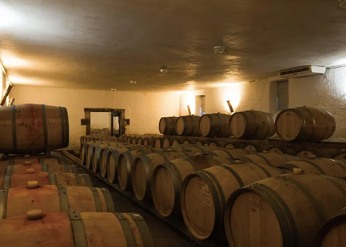 Château D'arche, Grand Cru Classé De