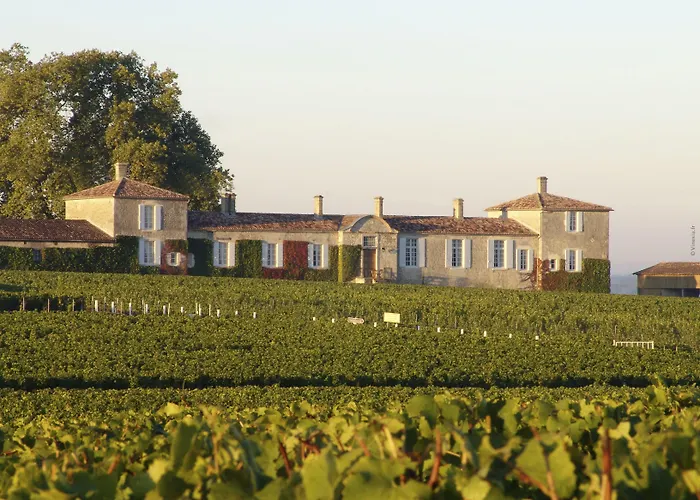 Bed & Breakfast Château D'arche, Grand Cru Classé De 4*