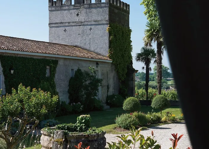 Château D'arche, Grand Cru Classé De 4* Sauternes