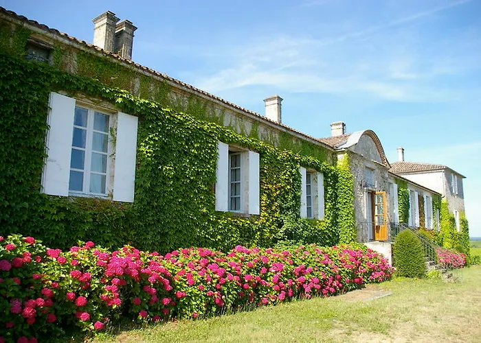Château D'arche, Grand Cru Classé De Couette-café